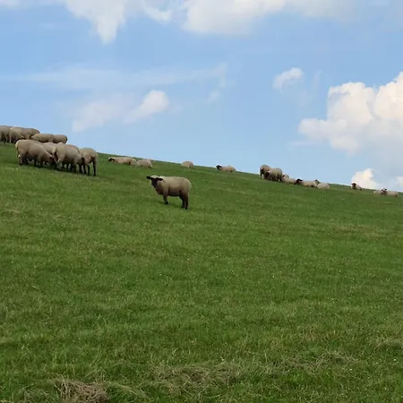 Prázdninový dům Haus Luechtje Jade Sehestedt (Lower-Saxony)
